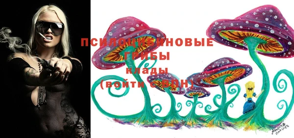 первитин Арсеньев